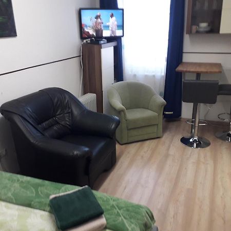 Apartment Ap 1 Im Zentrum Steyr, Bestrooms Eu Eksteriør billede
