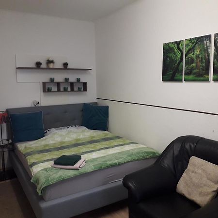 Apartment Ap 1 Im Zentrum Steyr, Bestrooms Eu Eksteriør billede