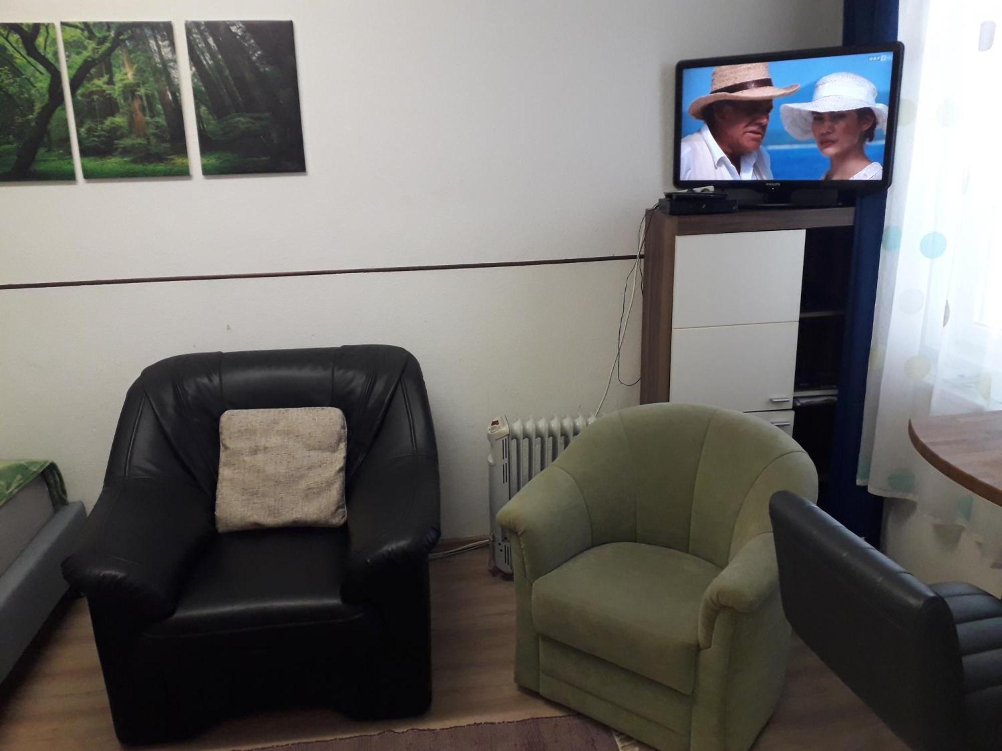 Apartment Ap 1 Im Zentrum Steyr, Bestrooms Eu Eksteriør billede