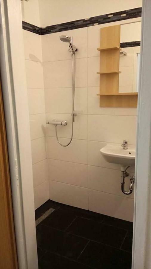 Apartment Ap 1 Im Zentrum Steyr, Bestrooms Eu Eksteriør billede