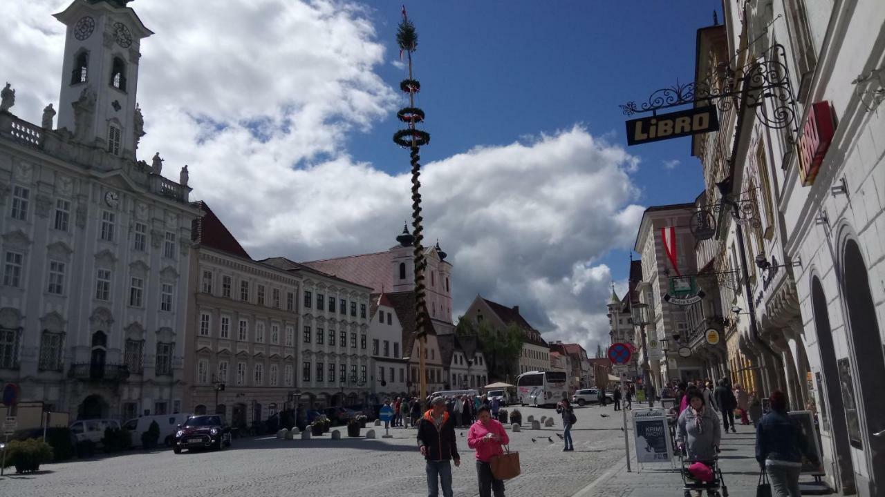 Apartment Ap 1 Im Zentrum Steyr, Bestrooms Eu Eksteriør billede